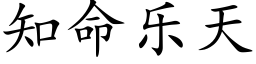 知命乐天 (楷体矢量字库)