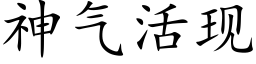 神氣活現 (楷體矢量字庫)