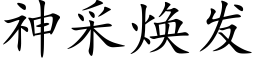 神采煥發 (楷體矢量字庫)