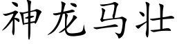 神龙马壮 (楷体矢量字库)