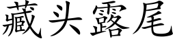 藏头露尾 (楷体矢量字库)