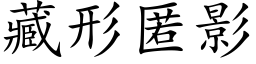 藏形匿影 (楷體矢量字庫)