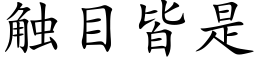 触目皆是 (楷体矢量字库)