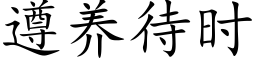 遵養待時 (楷體矢量字庫)