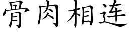 骨肉相连 (楷体矢量字库)