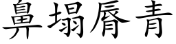 鼻塌脣青 (楷体矢量字库)