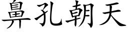 鼻孔朝天 (楷體矢量字庫)