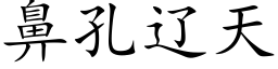 鼻孔遼天 (楷體矢量字庫)