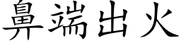 鼻端出火 (楷体矢量字库)