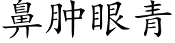 鼻肿眼青 (楷体矢量字库)