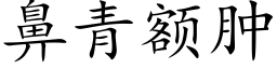 鼻青额肿 (楷体矢量字库)