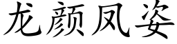 龍顔鳳姿 (楷體矢量字庫)